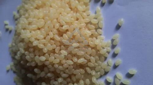 Fevicol Hot Melt Adhesive